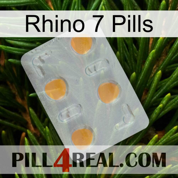 Rhino 7 Pills 24.jpg